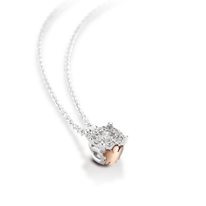 Collana ROBERTO GIANNOTTI